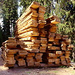 Heimisches Holz