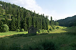 Schwarzwald
